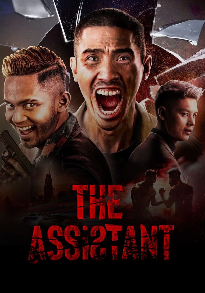 The Assistant streaming where to watch online?